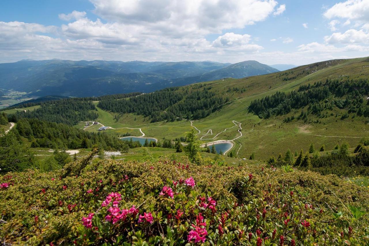 Landhaus Lungau Санкт Михаел им Лунгау Екстериор снимка